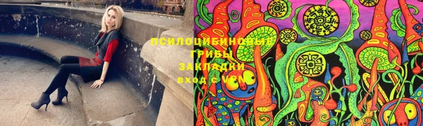 дурь Белокуриха