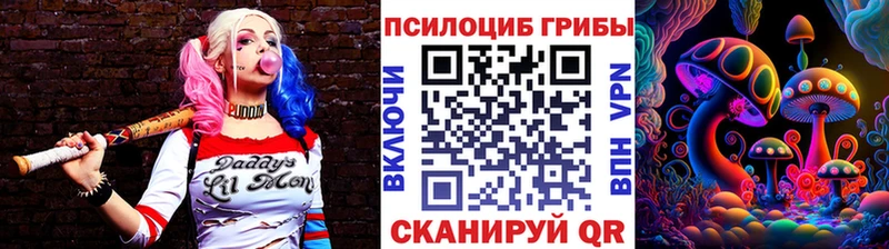 купить  цена  Реж  Галлюциногенные грибы Psilocybe 