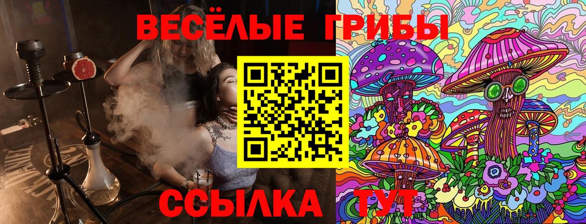 Реж  Псилоцибиновые грибы ЛСД  Вход с VPN 