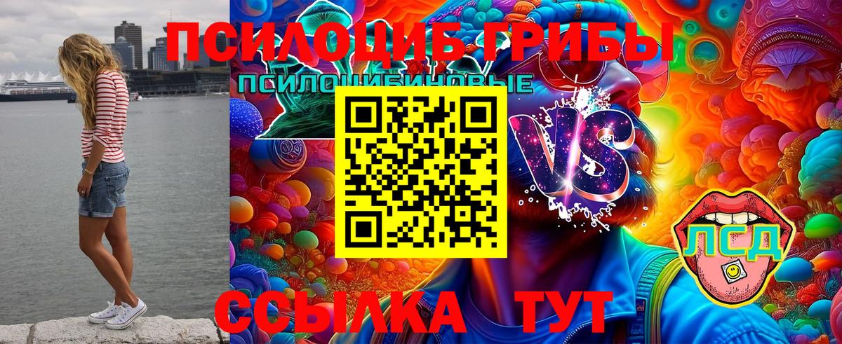 Псилоцибиновые грибы мухоморы Реж