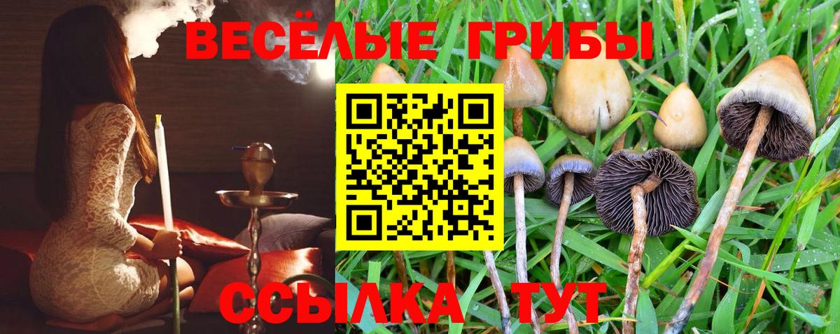 Реж  Галлюциногенные грибы Magic Shrooms  Вход с VPN 